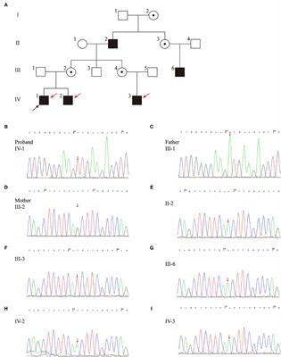 Clinical and Functional Characterization of a Novel Mutation in AVPR2 Causing Nephrogenic Diabetes Insipidus in a Four-Generation Chinese Family